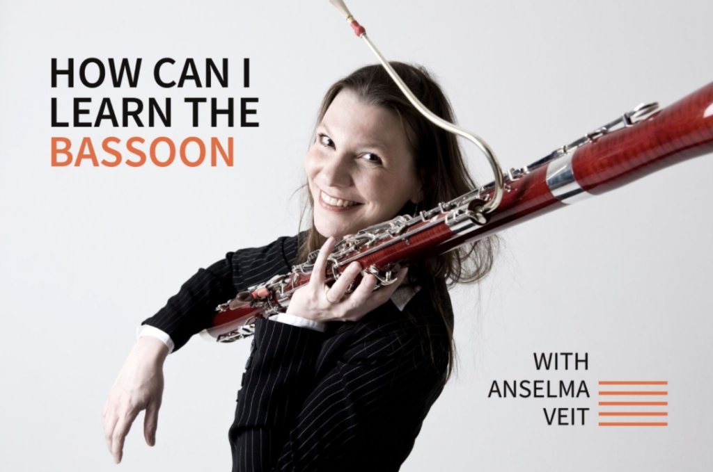 Learning to play the Bassoon 20 Questions for Anselma Veit AnselmaMusic